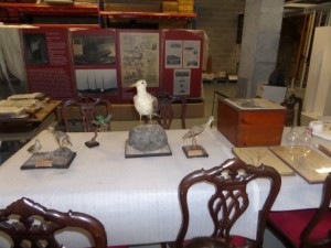 SAMSUNG CAMERA PICTURES