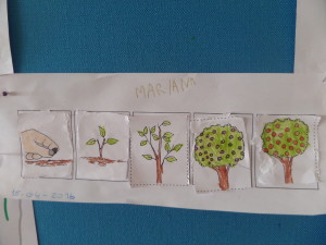 SAMSUNG CAMERA PICTURES