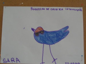 SAMSUNG CAMERA PICTURES