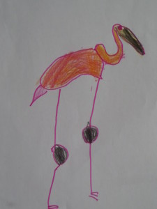 SAMSUNG CAMERA PICTURES