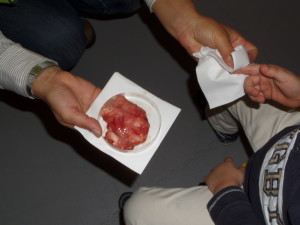 SAMSUNG CAMERA PICTURES