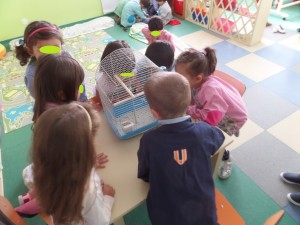 SAMSUNG CAMERA PICTURES