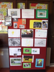 SAMSUNG CAMERA PICTURES