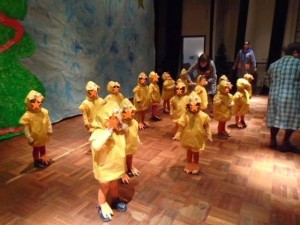 15666271_1163291593725987_24796917_n