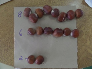 SAMSUNG CAMERA PICTURES