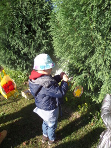 SAMSUNG CAMERA PICTURES