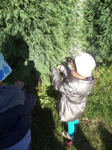 SAMSUNG CAMERA PICTURES