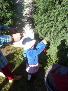 SAMSUNG CAMERA PICTURES